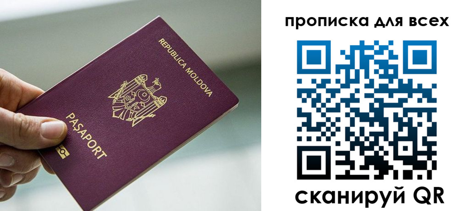 прописка иностранных граждан в Пионерском